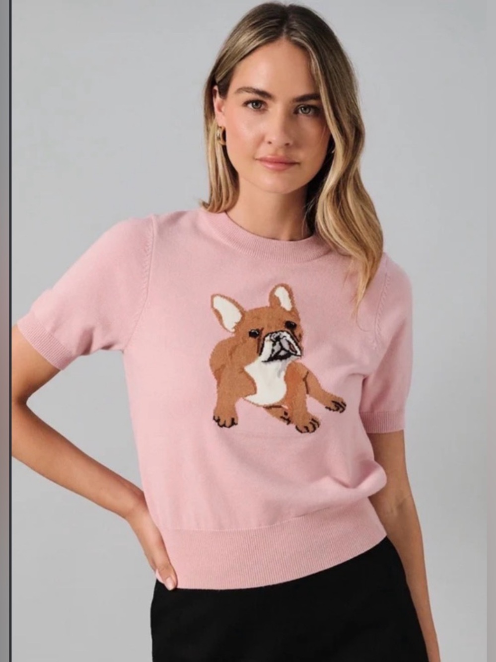 Pink French dog Short Sleeve Sweater